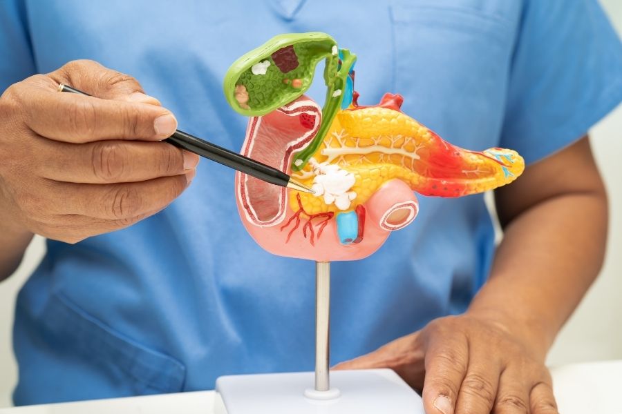 Gastrointestinal Cerrahi